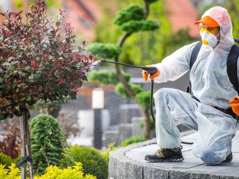 Ayvalık Haşere İlaçlama